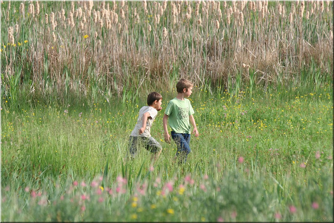 la chasse aux papillons.jpg