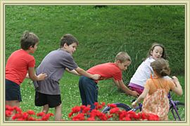 chenille a roulettes