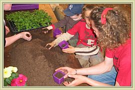 cours de plantation