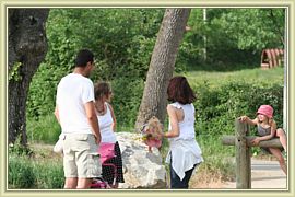 entre amis