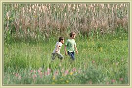 la chasse aux papillons
