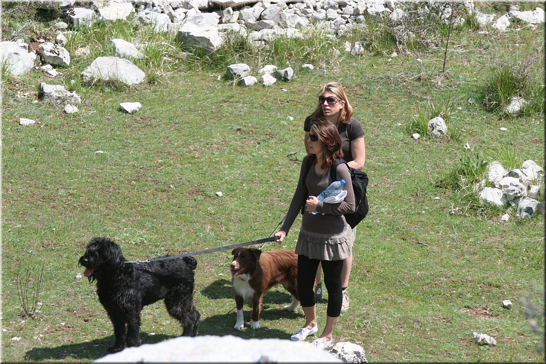 attention ou on lache les chiens.jpg