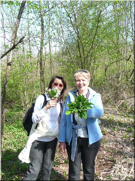 bouquets.jpg