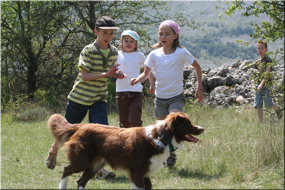 course avec le chien.jpg