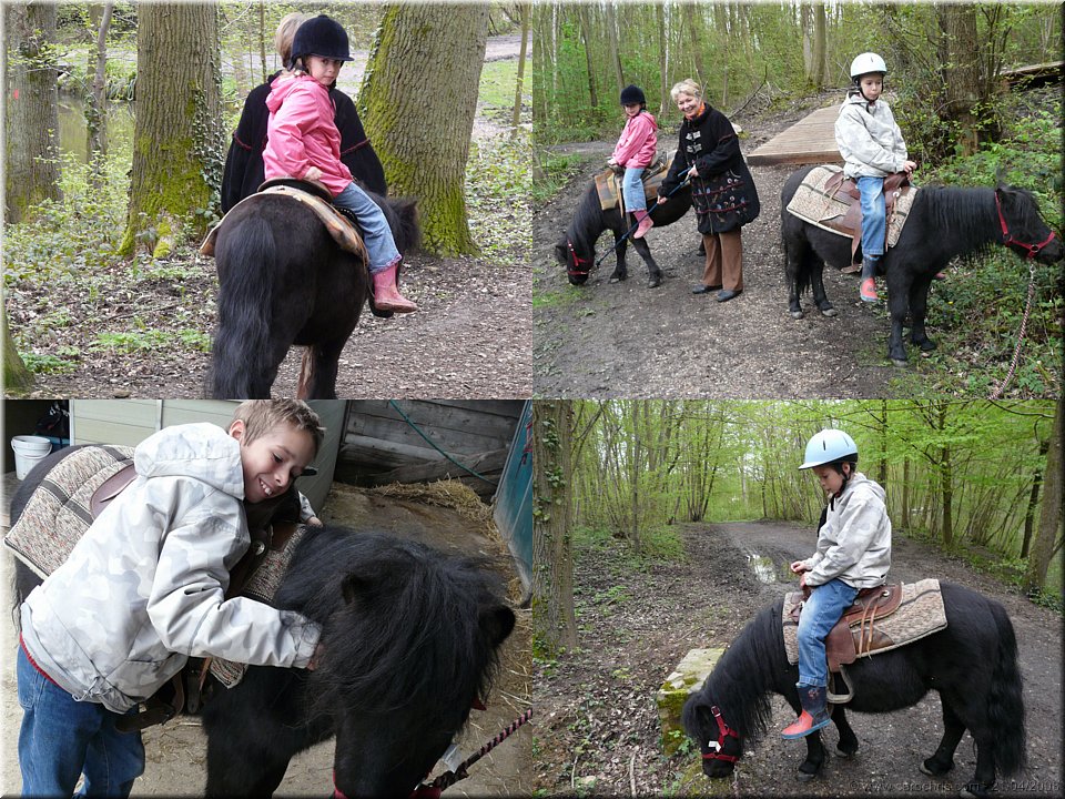 grand galop.jpg