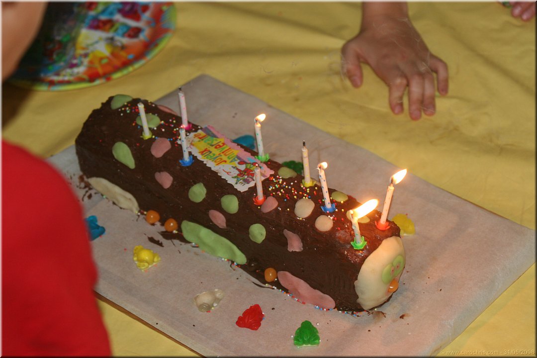 le gateau des 9 ans.jpg