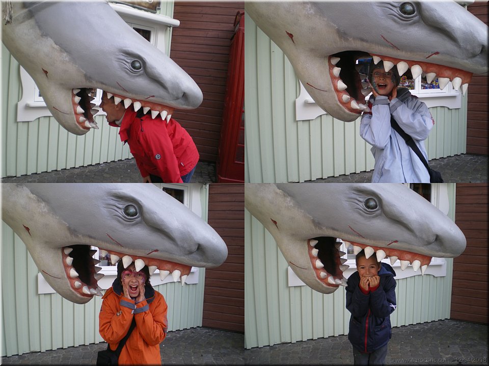 les dents de la mer.jpg