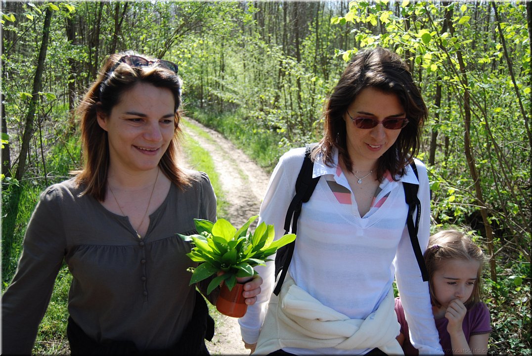sur le chemin du retour.jpg