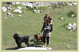 attention ou on lache les chiens