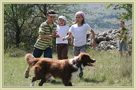 course avec le chien