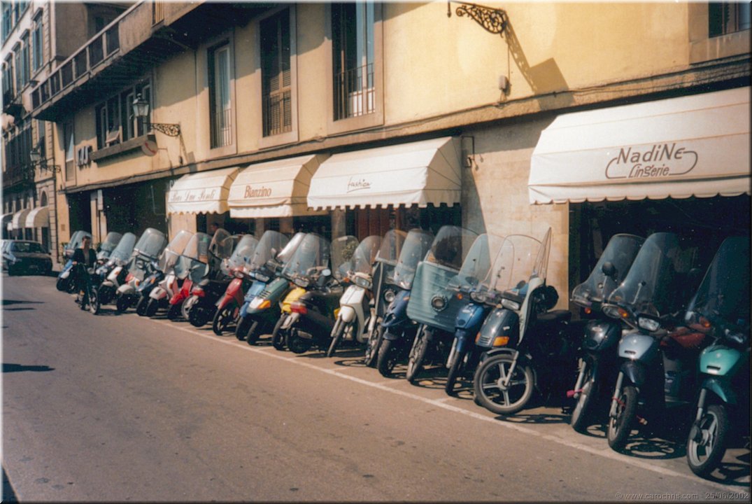 scoot party.jpg