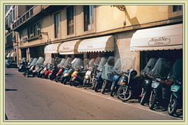 scoot party