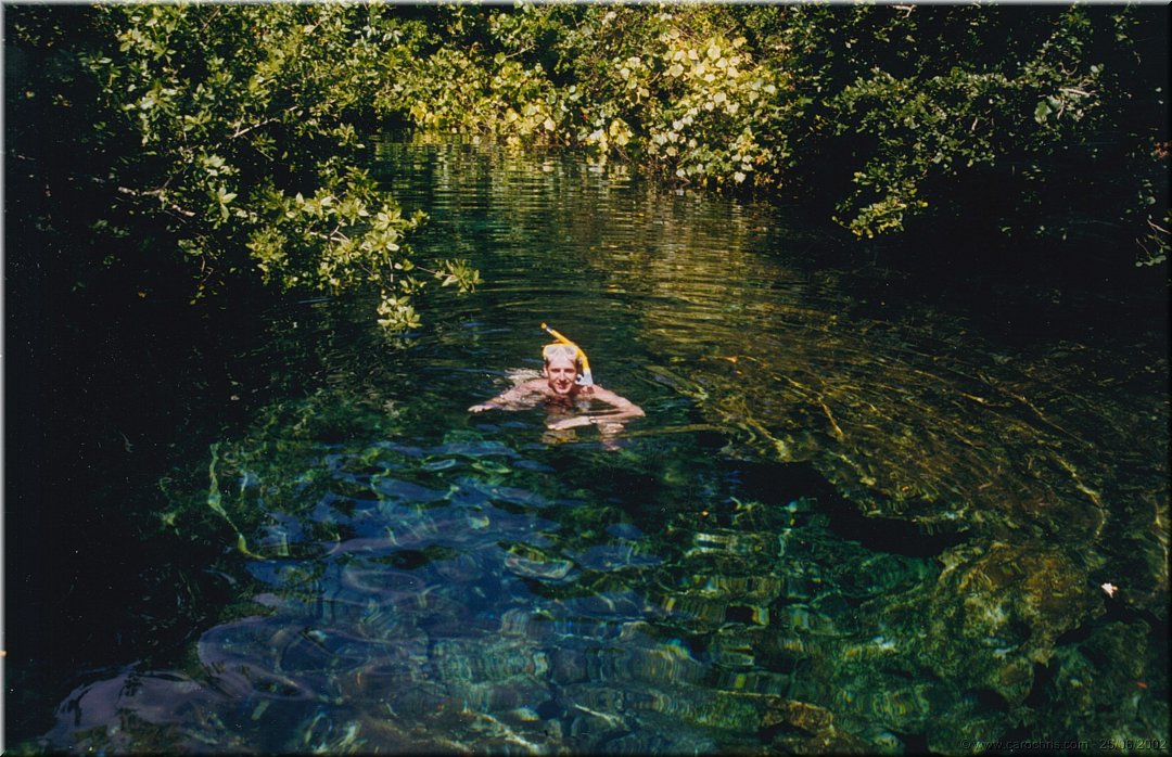 baignade avec les crocos.jpg