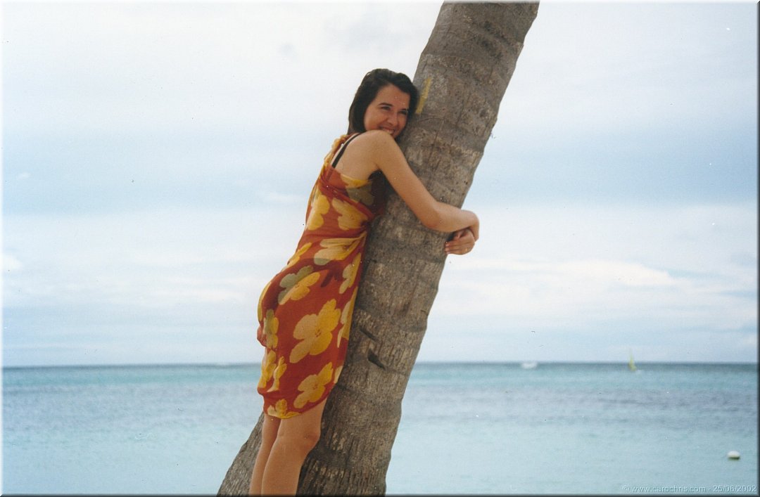 cache cache avec les cocotiers.jpg
