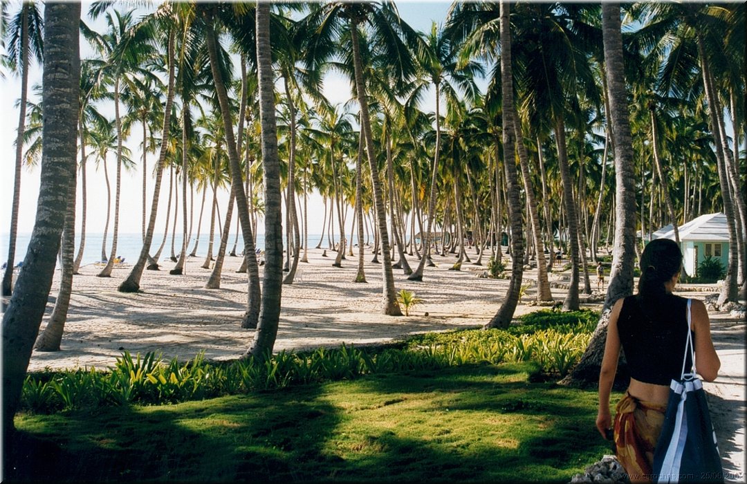 la plage.jpg