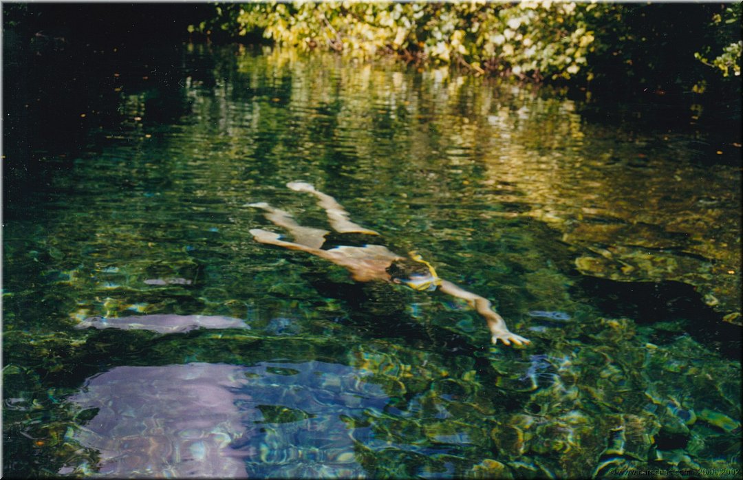 peche sous marine.jpg