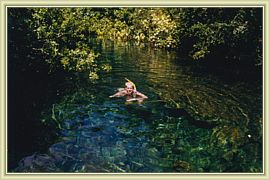 baignade avec les crocos