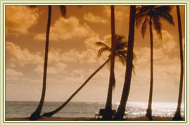 couche soleil filtre