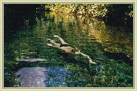 peche sous marine