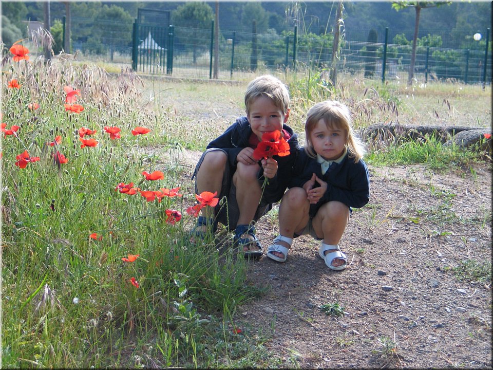 les rois des bouquets.jpg
