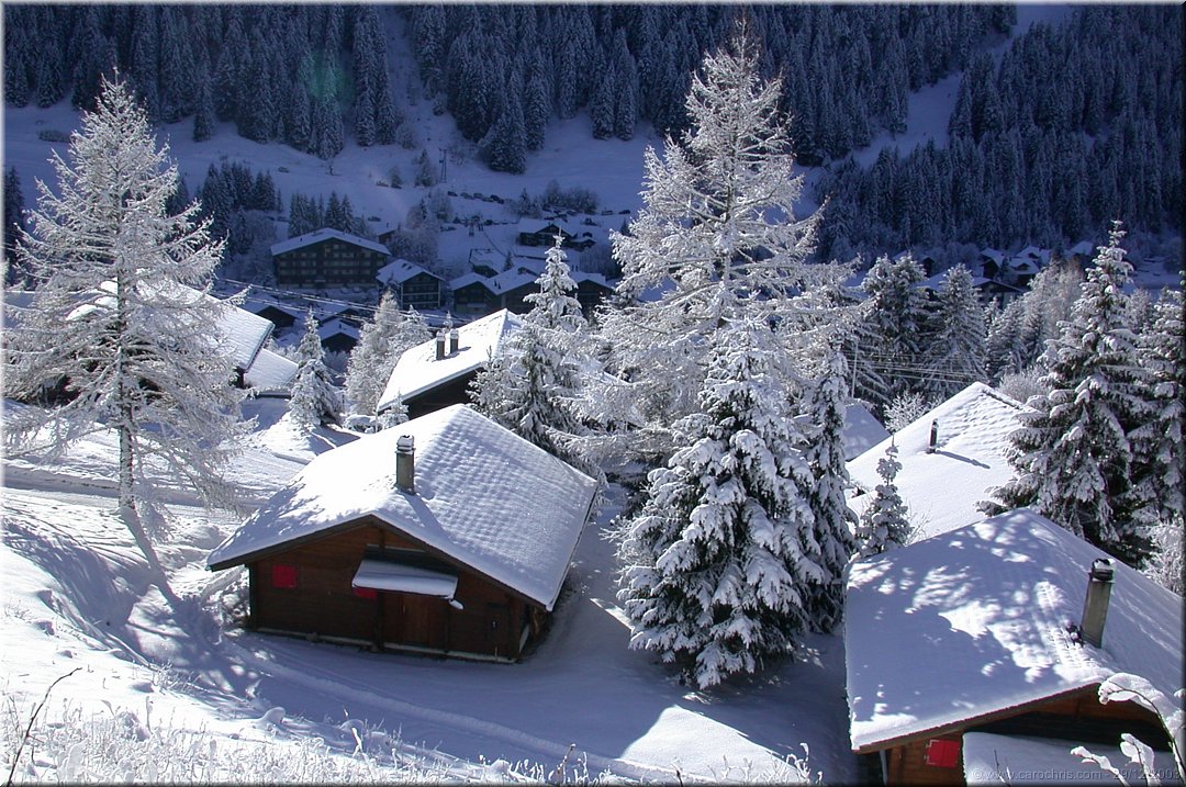 Ski_Noel2003_06.jpg