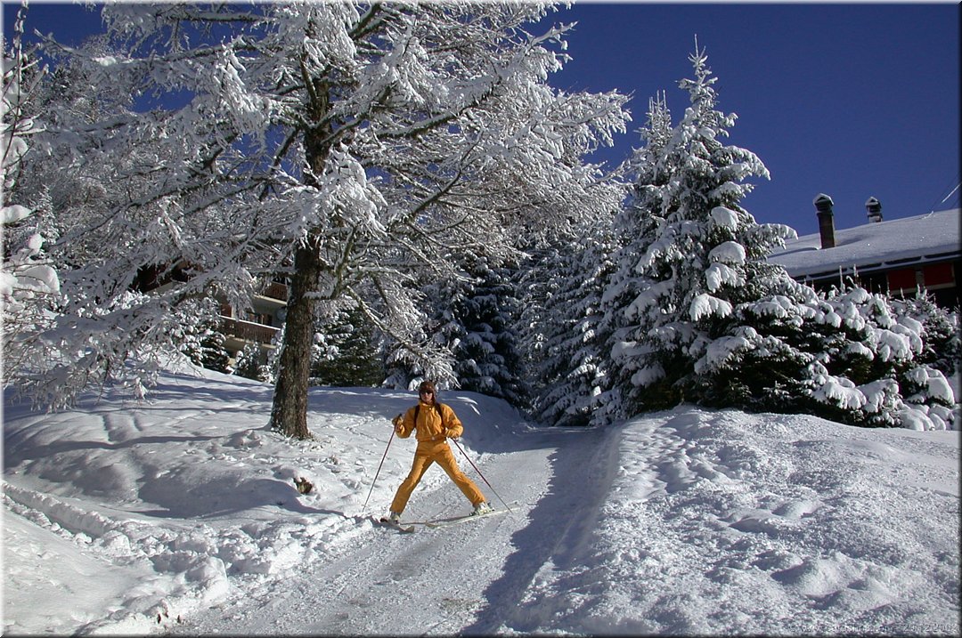 Ski_Noel2003_08.jpg