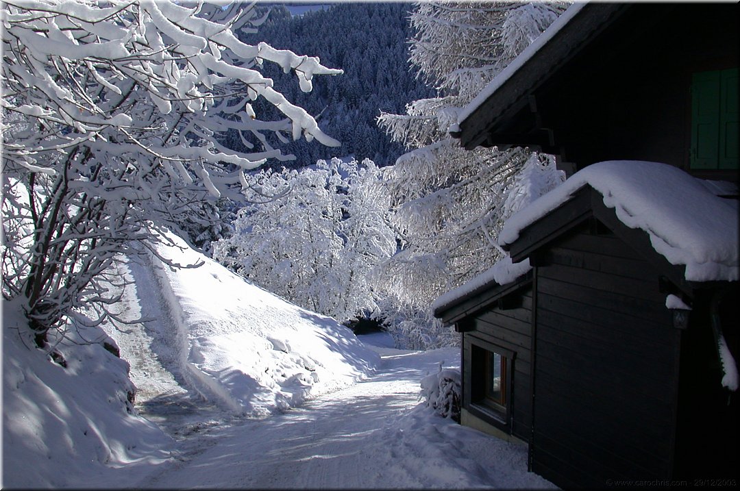 Ski_Noel2003_09.jpg