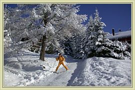 Ski_Noel2003_08