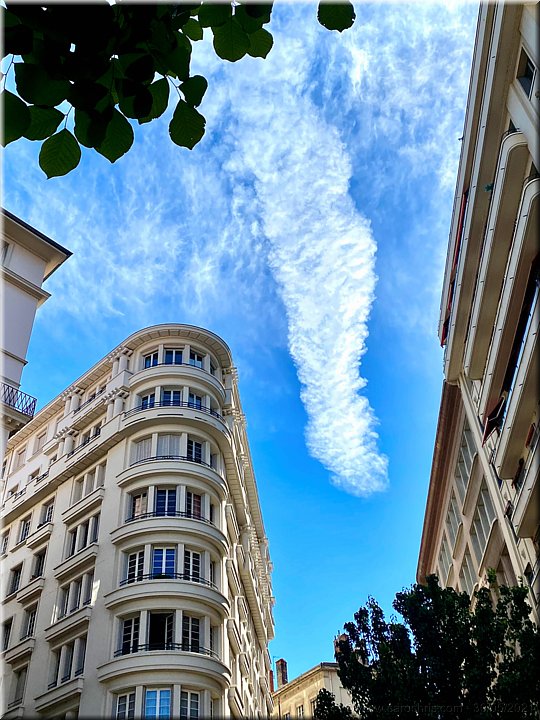 Capucine_118.jpg