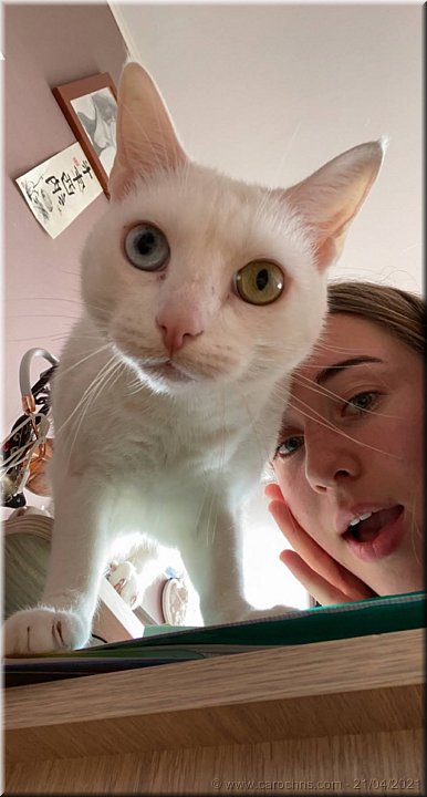 Capucine_146.jpg