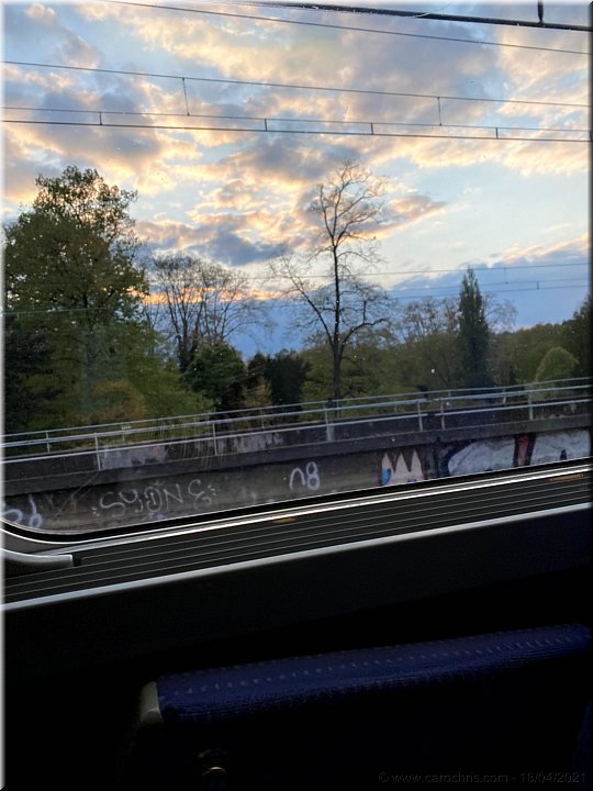Capucine_148.jpg