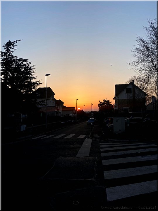 Capucine_155.jpg