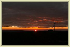 Capucine_080
