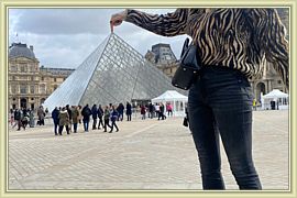 Capucine_088