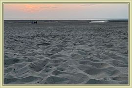 Capucine_100
