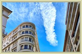 Capucine_118