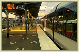 Capucine_136