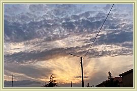 Capucine_147