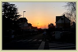 Capucine_155