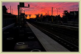 Capucine_169