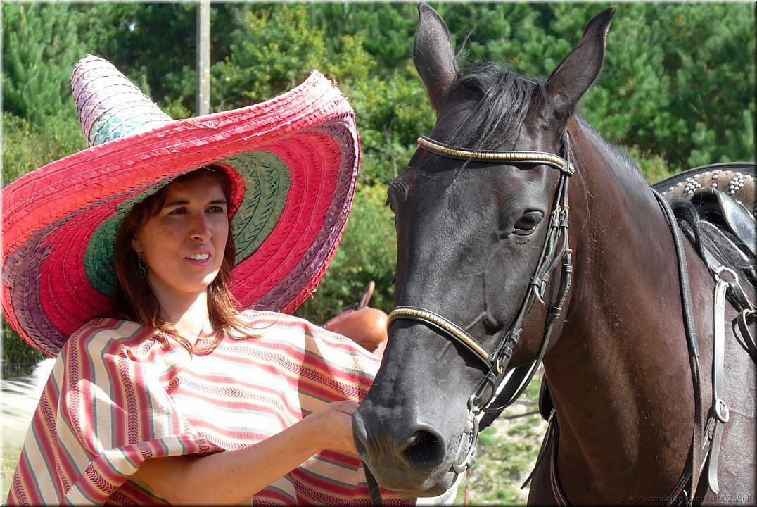 sombrero tequila.jpg