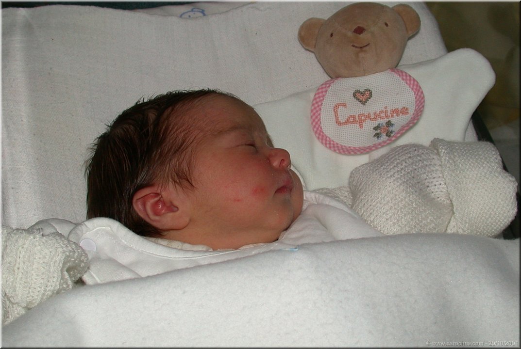 capucine 07.jpg