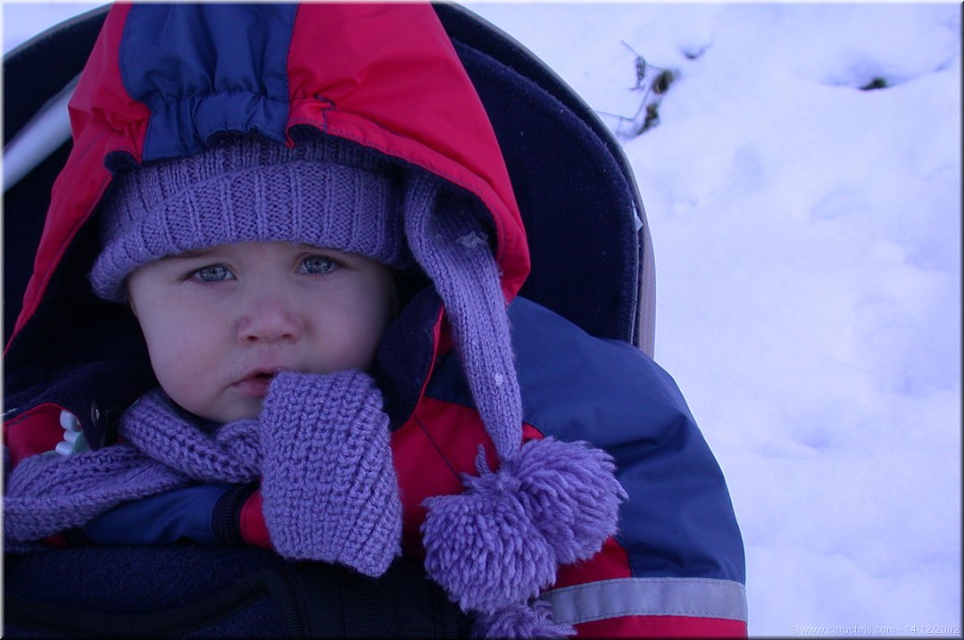 paree pour les grands froids.jpg