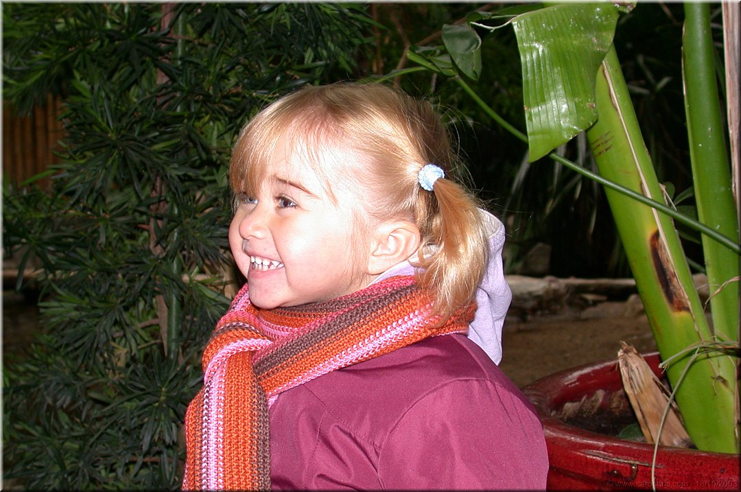 sourire coquin.jpg