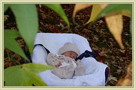 capucine 13
