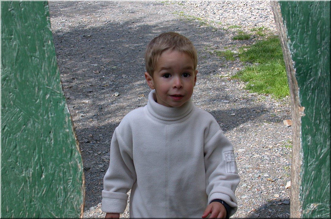 mathis polaire parmi les loups.jpg