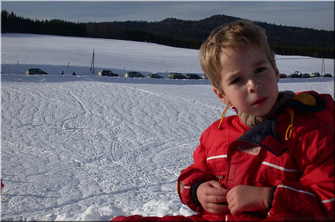 petit montagnard.jpg
