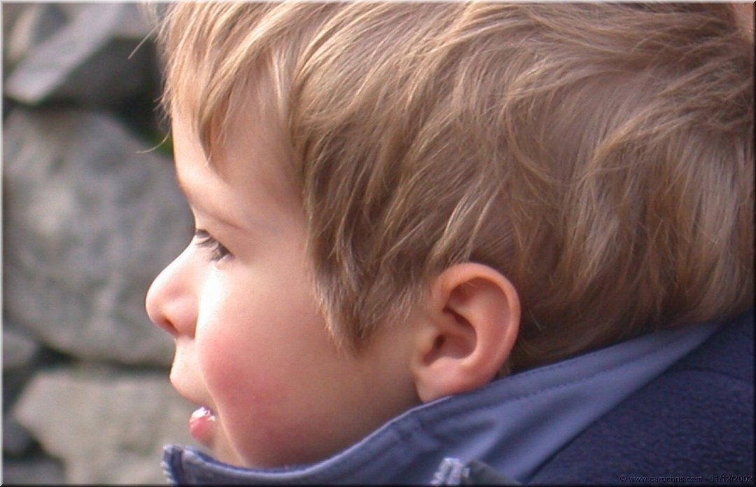 petite tete blonde.jpg