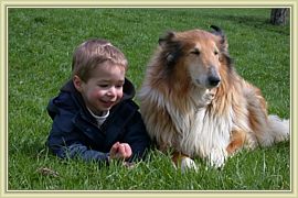 chat avec le chien