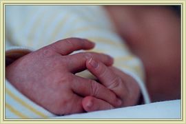 petites mains